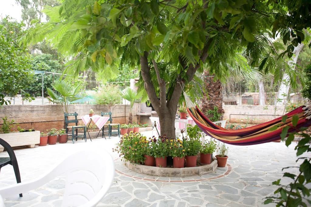 Veggie Garden Athens B&B Exterior foto